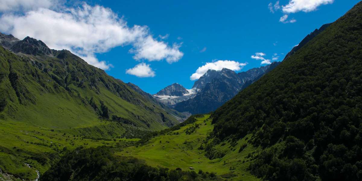 About Valley of Flowers Trek
